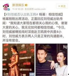 大料爆料视频大全,揭秘娱乐圈幕后真相